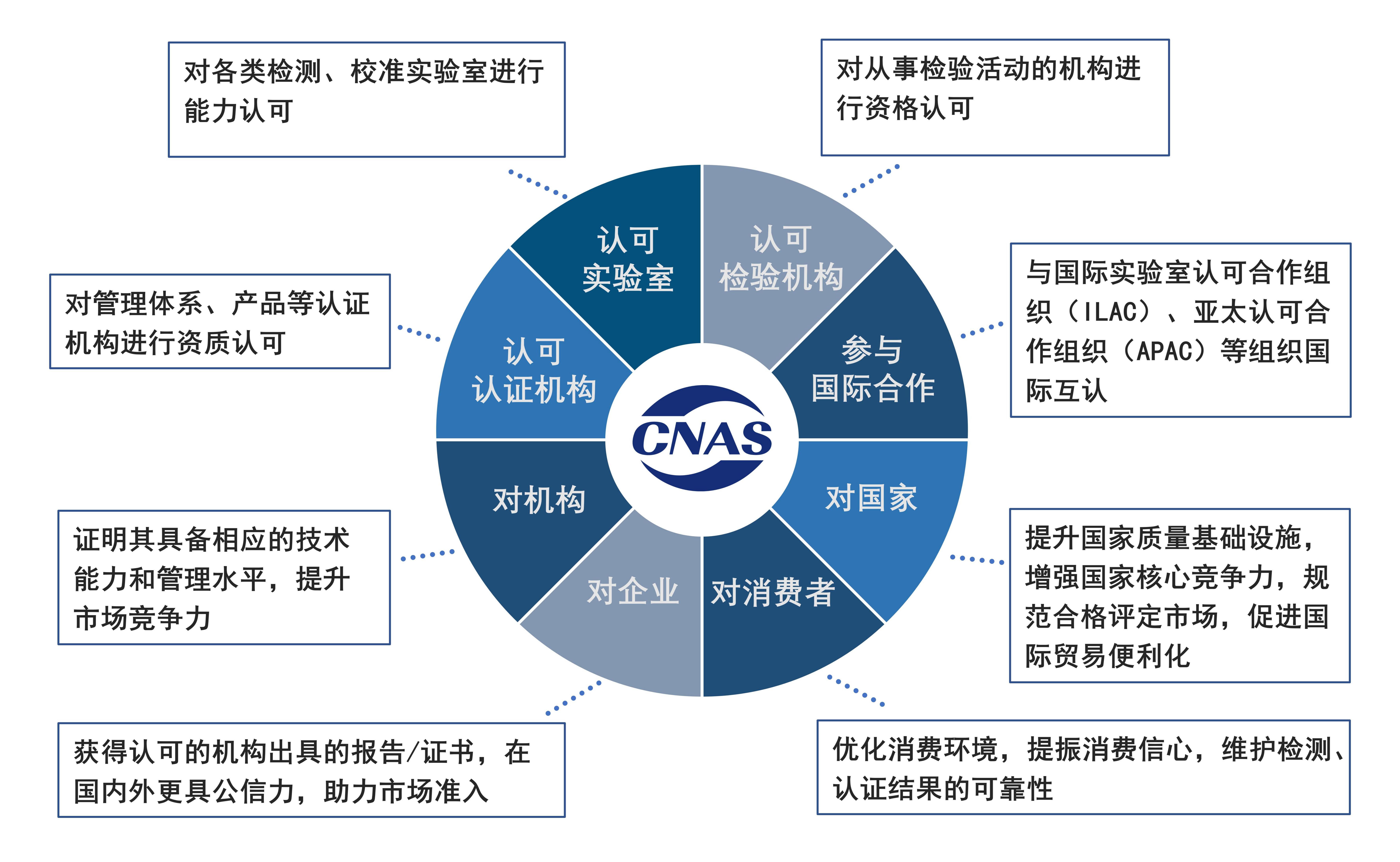 1769737928430035724.jpg 1769737928430035724.jpg